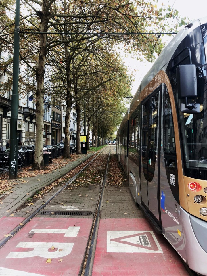 avenue-louise-bruxelles-tram