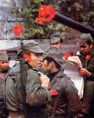 salgueiromaia.png