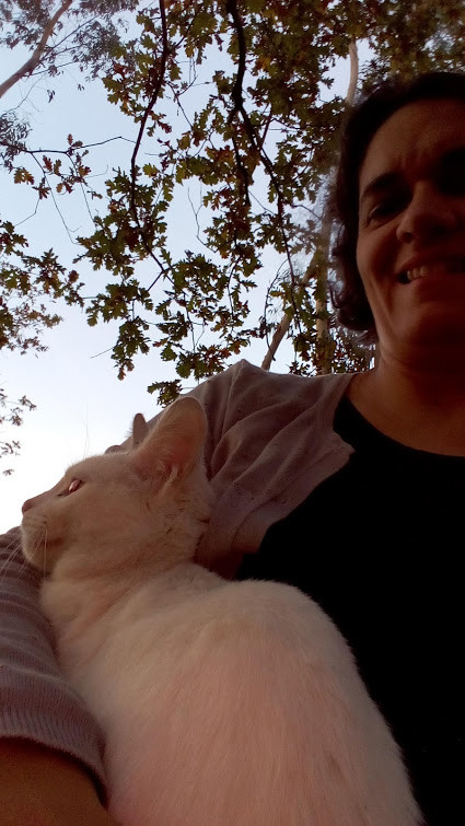 Nao_me_canso_disto_gato_companheiro7.jpg