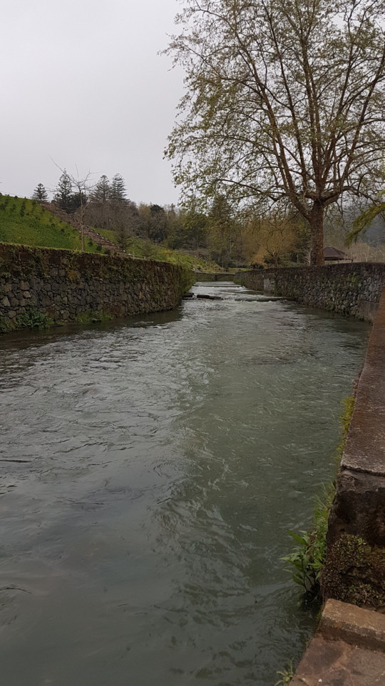 20180404_184238.jpg