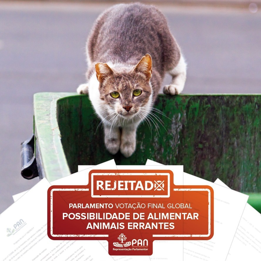 67470243_2436701863057561_8371440380062728192_n[1]