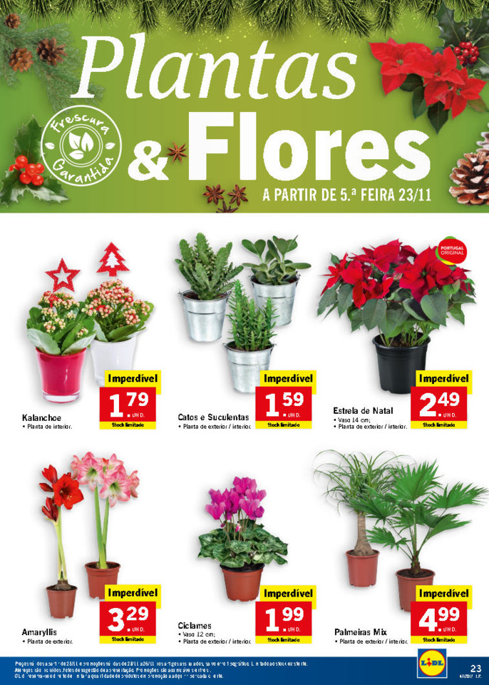 lidl folheto_Page31.jpg