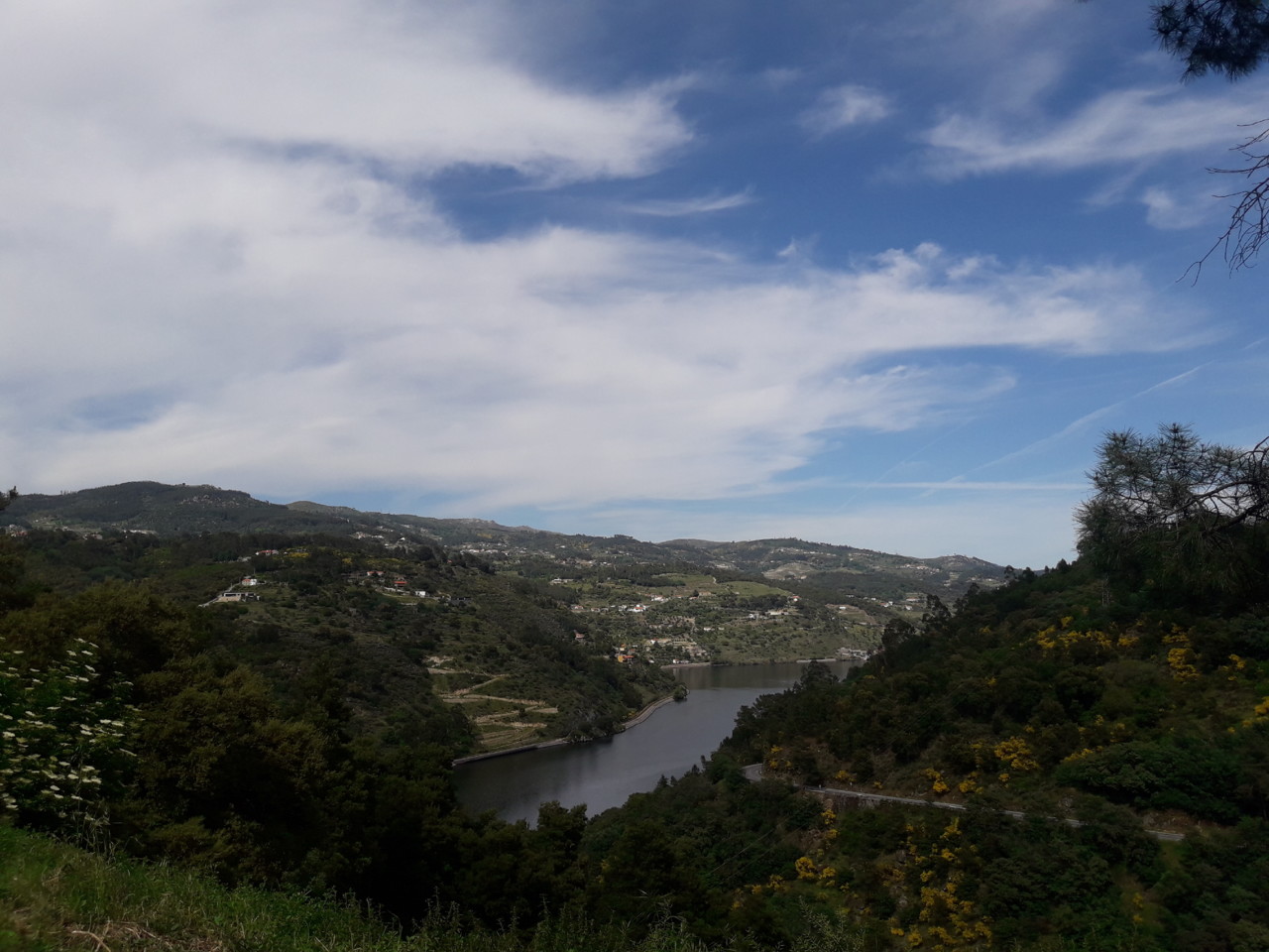 20190505_155046.jpg 20190505_155046.jpg
