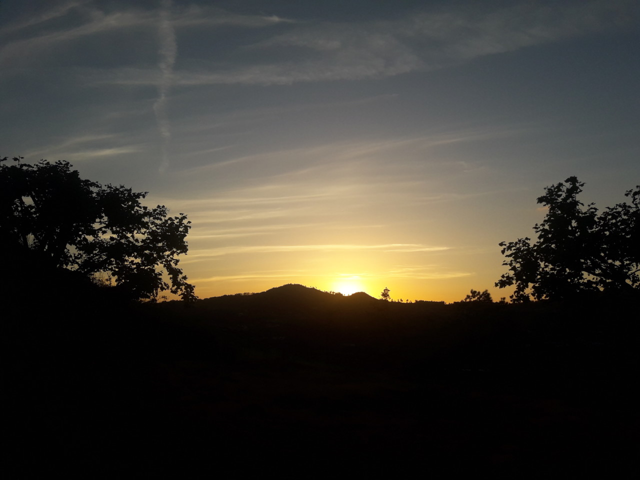 20190607_205001.jpg