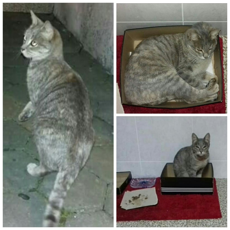 1510915237223.jpg 1510915237223.jpg