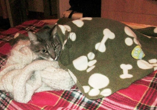 49038024_2286700071602124_7651816109946961920_o.jp