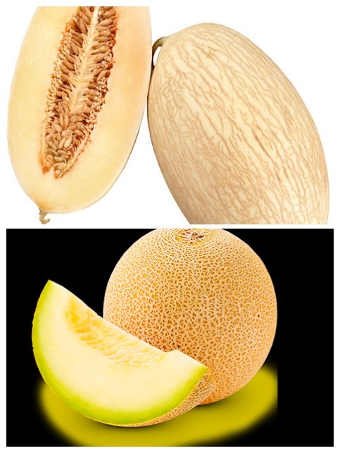 Melões e meloas — © Sonae, 2019