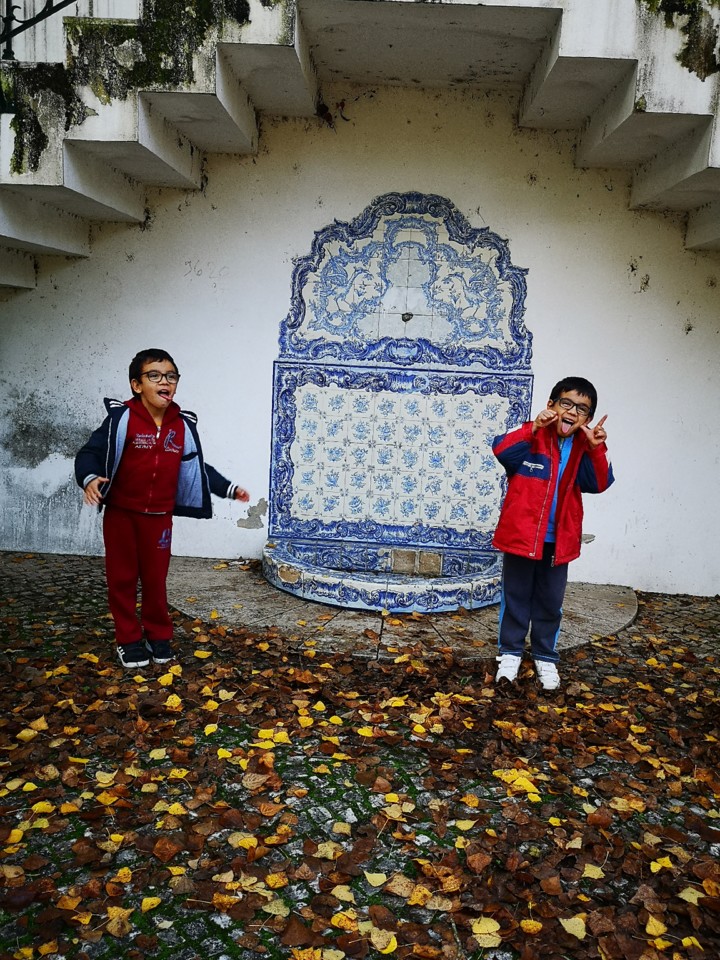 IMG_20201116_082716.jpg