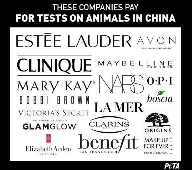 peta.JPG peta.JPG