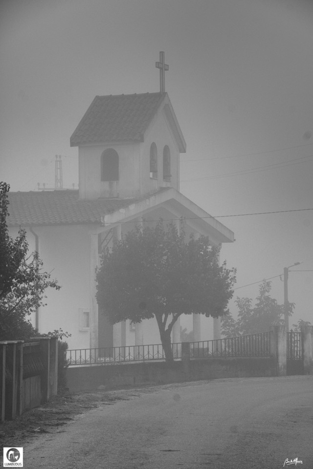 _D703856ac.jpg