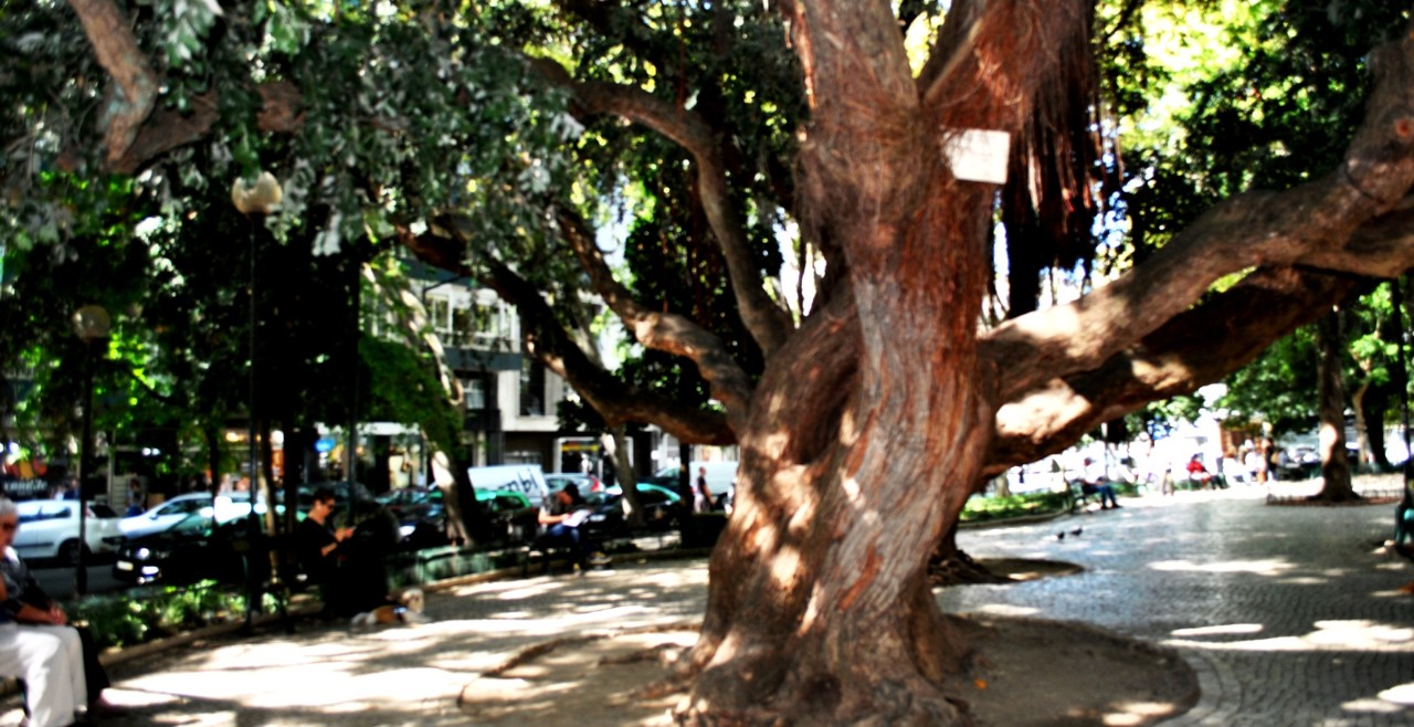 Jardim da Parada 1.JPG