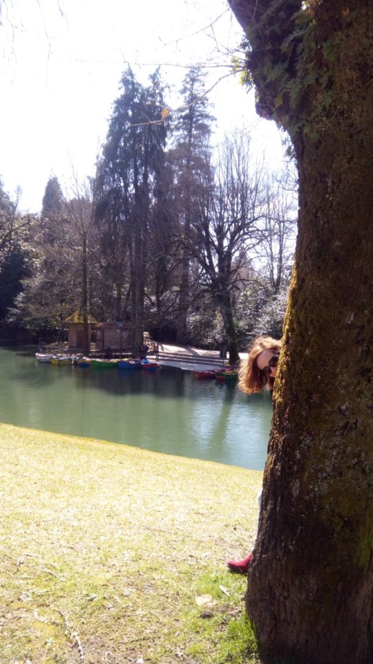 IMG-20180405-WA0014.jpg IMG-20180405-WA0014.jpg