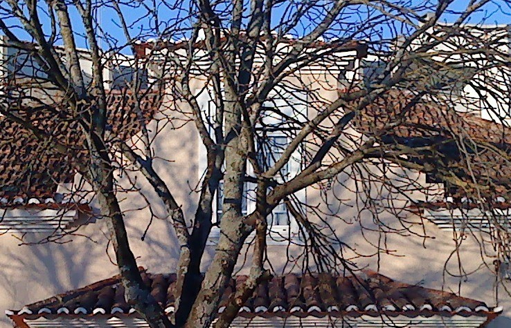 012a.jpg 012a.jpg