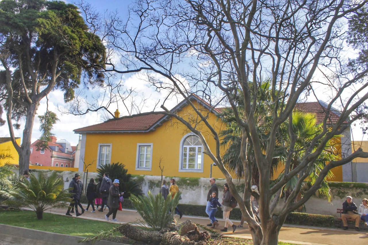 jardim tropical 004-01.jpg