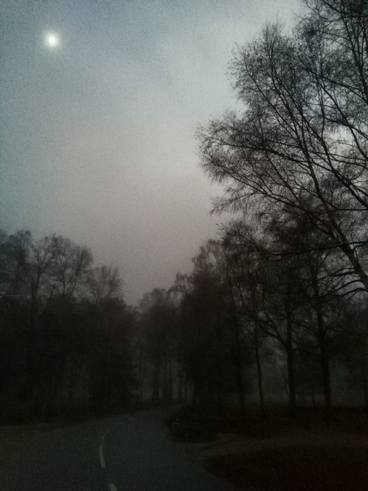 Torradaemeiadeleite