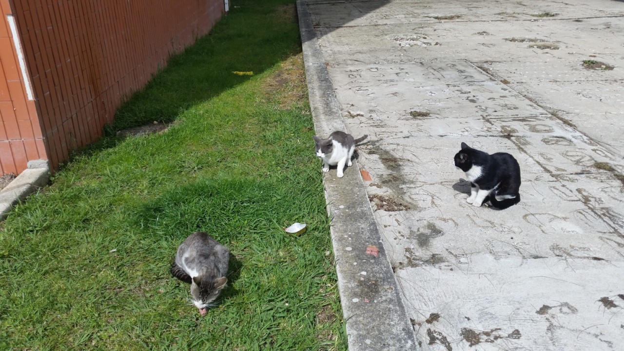 20190406_115326.jpg 20190406_115326.jpg