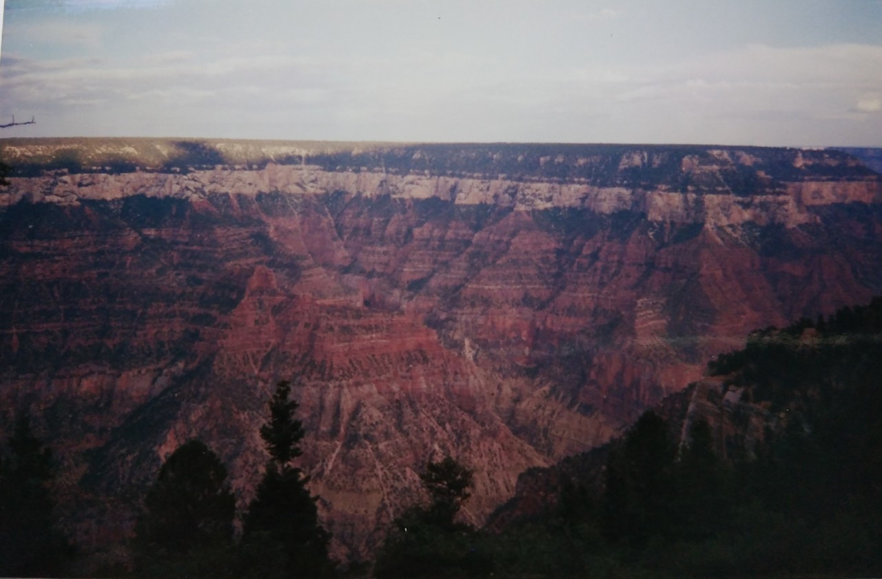 IMG_20200419_114758.jpg
