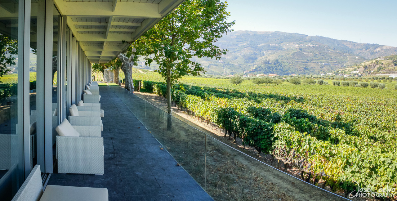 QUINTA DA PACHECA DOURO LAMEGO (22).jpg QUINTA DA PACHECA DOURO LAMEGO (22).jpg