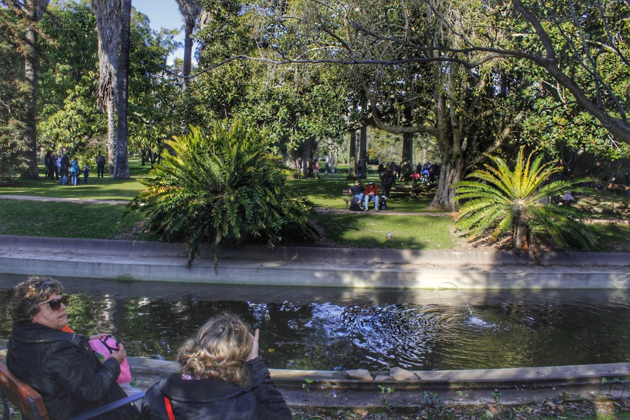 jardim tropical 003-01.jpg