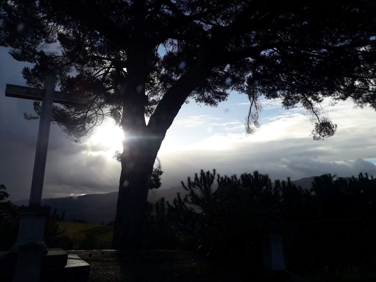 20181121_090122.jpg
