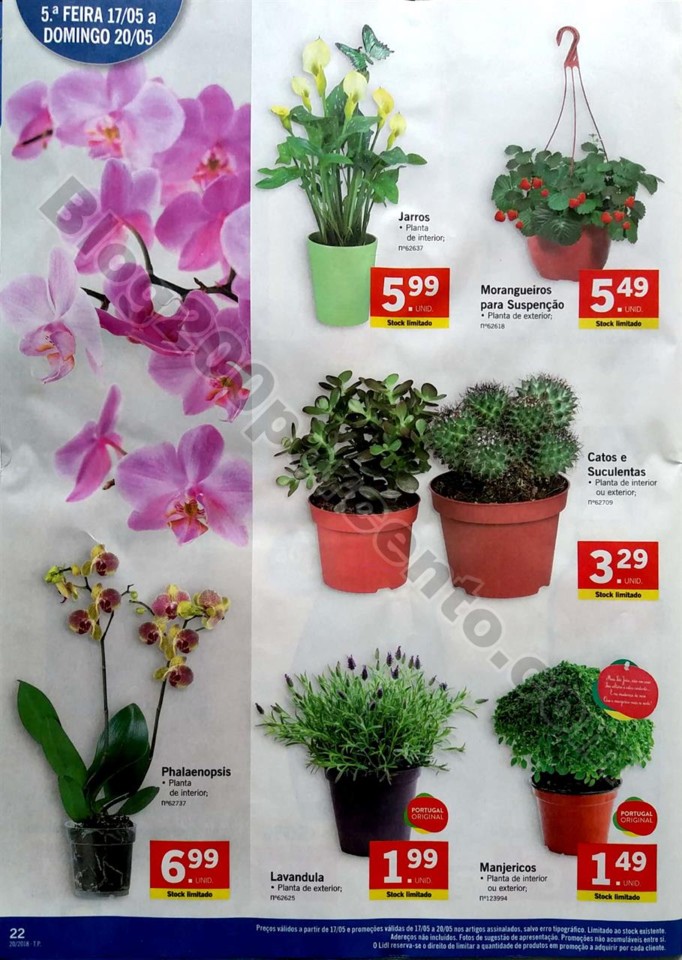antevisão folheto LIDL 14a20maio