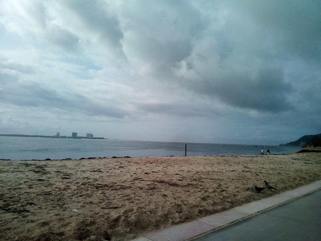 domingo.jpg domingo.jpg