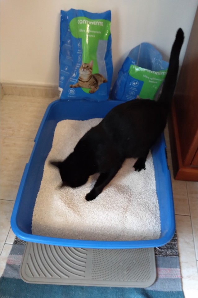 SquarePic_20191115_15070683.jpg SquarePic_20191115_15070683.jpg