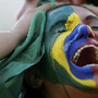 Desilusão no Mundial de Futebol 2014, Brasil