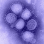 virus h1n1