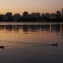 Amanhecer do Rio - A Lagoa Rodigo de Freitas no am