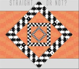 ilusao optica 2 - certo.JPG