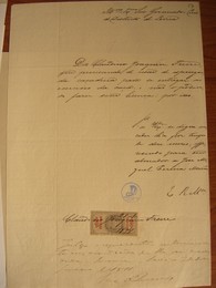 CIMG0695.JPG