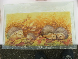 fb_kZ6zTR9aU156rMwwvgfd