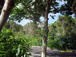 Dia da Freguesia da Serreta 2011