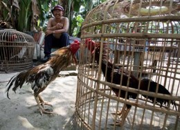 fb_zZpgAJUfhfTIOeehvILJ