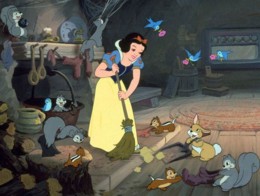 snow-white-cleaning.jpg