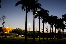 Amanhecer no Rio - Amanhecer com c&eacute;u claro no Ate