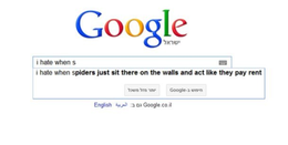 spider