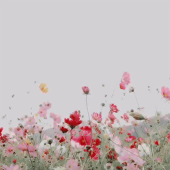 8065747ee71800b058e3abaff2db36d0.gif